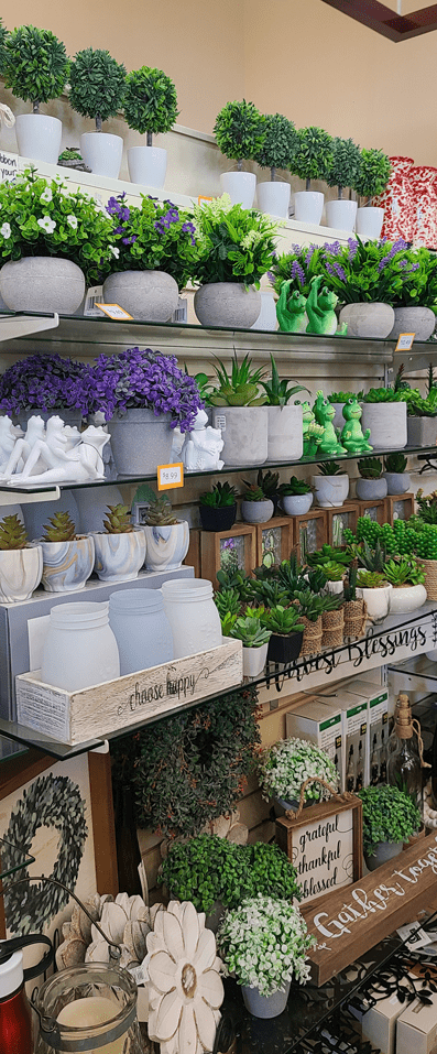 Union Prescription | Medical Supplies | 810-686-2900 Union Prescription | Medical Supplies | 810-686-2900 | Pharmacy